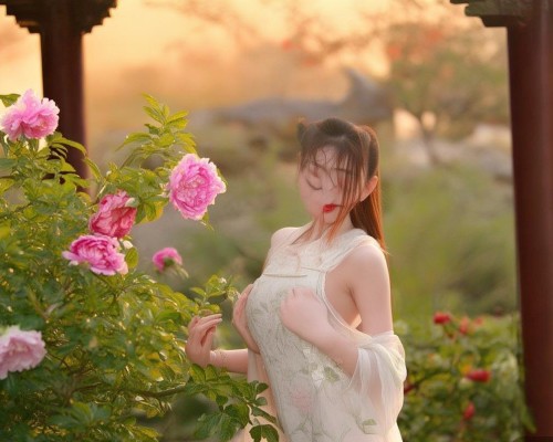 传统隆胸，历史、方法与展望